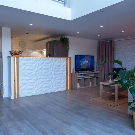 Le Loft D'oc - Duplex 117m2 - 2 Et Jardin * Launaguet